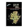 হৃদয় গলে সিরিজ-৫৪ : ভুলে ভরা জীবন-২