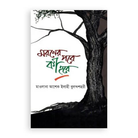 মরণের পরে কী হবে