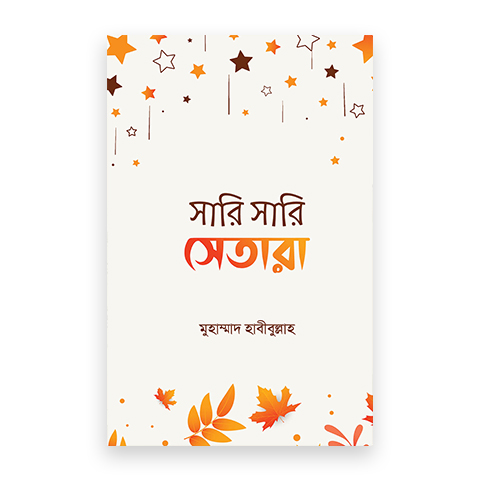 সারি সারি সেতারা